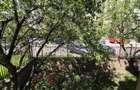 Doua camere, parter, balcon generos, bloc 2008, Rovine- Scola 39 - 6
