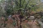 Apartament 2 camere Baba Novac - 14
