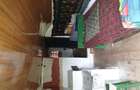 2 camere, 4000 mp,langa lacul Vidraru - 5