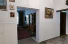 APARTAMENT ULTRACENTRAL , PIATA UNIRII, CUZA VODA 70 MP PLUS CURTE - 20
