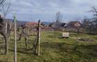 Casă individuală cu 5 camere cu Teren 1800 Mp în Buteni - 2