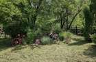 Casa, zona rustica, langa Deva, loc. Cherghes, pentru activitati si relaxare in natura - 6