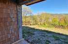 Casă cu 4 camere cu Teren 3600 Mp în Vlădești - 1