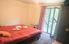Vand Vila cu 5 camere in Topli?a, langa raul Cerna, in mijlocul naturii. Pre? 65000 EUR Negociabil - 5