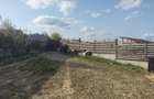 Teren intravilan 844 mp + anexa 43 mp + utilitati | Mihail Kogalniceanu | Smardan - 15
