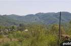 Pucioasa,Varfuri,Ulmetu - 5
