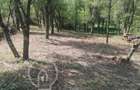 Teren intravilan cu CF 5400mp front 17 Savadisla jud Cluj