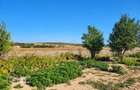Teren Intravilan, 7000 mp, oras Lipova