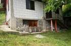 Casa de vanzare com. Nucsoara - 4