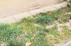 Serelor (Parcul Central) Apartament 4 camere, decomandat+ garaj +beci! - 8