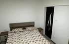 Apartament cu 2 camere, complet renovat, mobilat si utilat Baile Herculane - 8
