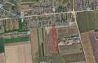 Teren intravilan 28.200 mp Cazasu, zona Str. Cactusilor comisi - 2