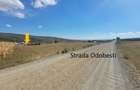 Proprietar: Teren plan 900mp, geometrie patrata, front 30m la drum de 9m || Odobesti - CREIC (Extravilan) - 2