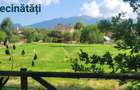 Teren intravilan 2130mp | Predelut, Brașov | La 2km de castelul Bran