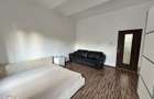 Apartament 1 camera Boul Rosu de inchiriat - 10