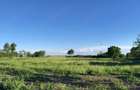 Teren intravilan: 11 000 Euro 700mp front 15m, Cebza vatra satului, iesire spre Ciacova