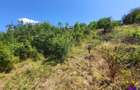 Teren Intravilan 546 mp | Panorama deosebita | PUZ in lucru - 2