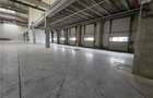 Spatiu Industrial - 6000 mp - Logistica - Productie - Depozitare - Distributie - 12