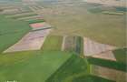 Teren extravilan in Sannicolau Mare 14.6 ha - 1