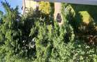 Apartament frumos 3 camere zona Ferenczi Karoly