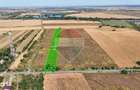 Teren 8.648 mp | Intravilan + extravilan | Deschidere 21 m | Mosteni - 3