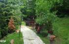 Studio - Apartament Central Furnica - 1