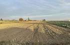 Teren intravilan 8.400 mp | Slobozia Moara | Parcelabil - 1
