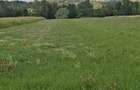 Vand Pamant in Chechi? , Maramure? - 2
