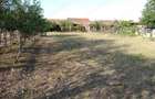 Berliste, Casa 6 Incaperi, 1129mp Teren, Pret Negociabil - 1