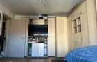Apartament 3 camere Centrul Civic,mobilat, vedere Tampa,168900 E - 10