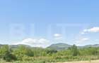 Teren intravilan si extravilan 9000 mp, zona Lelesti-Dobrita - 1
