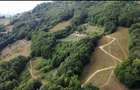 Vand teren 10,5 ha cu casa si sura, 3 izvoare, Bistrita - 4