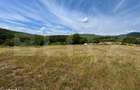 Teren intravilan de vanzare 480 mp, zona Padurea Bejan - 1