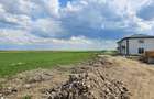 Teren intravilan construc?ii 9.600 mp Niculesti, Dambovita - 6
