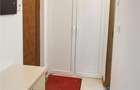Garsoniera cocheta de inchiriat Str. Zefirului, Bistrita, langa Cant - 3
