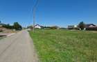 Teren Premium De Vanzare In Dumbravita Langa Padure - 3