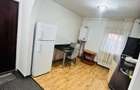 Apartament 2 camere Calea Lipovei - 4