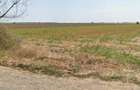 Teren Petrechioaia,Afumati 25000mp2 ,zona cu potential,ideal pt hale ,case,tel 0723858278 40euro mp - 3