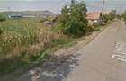 Proprietar - vand teren intravilan 10500 mp, Oiejdea (Alba), zona de case