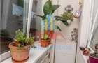 Garsoniera 30 mp Pet friendly, Polux Residence 72B, Sc. B, Chiajna - 7