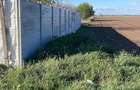 Teren -intravilan Dascalu , 18000 m /17€ m2  - 1