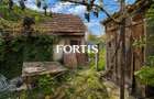 Casa de vanzare in Fagaras, zona 13 Decembrie 0% COMISION - 11