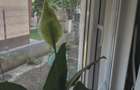 2cam.dec.mob-util complet+curte62mp+parcare/10min metrou D.leonida - 22