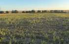 Teren intravilan 4.003 mp Frecatei, Tulcea - drum pe 3 laturi, curent - 2
