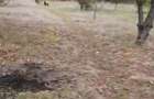 Loc intravilan de vanzare - 4