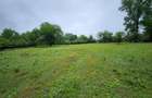 Evadare intr-un Paradis Privat: Proprietate Unica in Valenii de Munte - 5