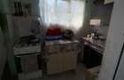 Casa + 2129 mp teren, zona linistita, Goruni, Iasi - 76.000 euro - 7