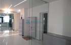 Royal Imobiliare - apartament 3 camere lux, zona Gheorghe Doja - 14