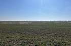 Teren intravilan, 5000 mp, zona Peugeot