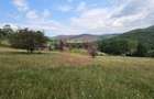 Teren intravilan de vanzare 3500 mp in Valea Doftanei - 1